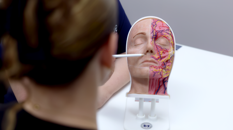 Antiwrinkle only training-1