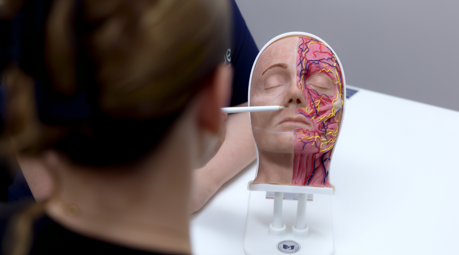 Antiwrinkle only training
